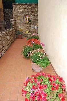 Fior Di Loto Limone sul Garda